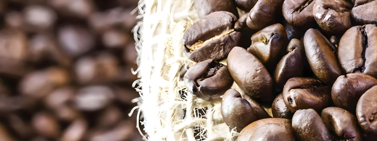 Qué molienda de café usar según tu cafetera