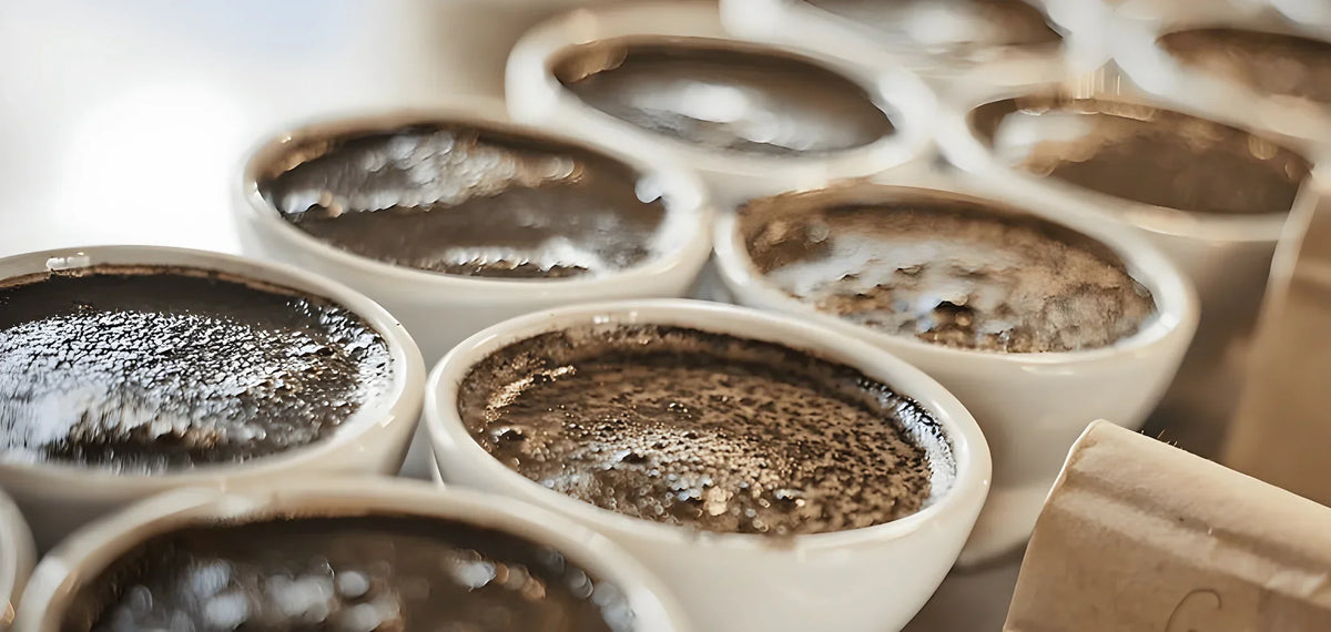 Qué café usar en una cafetera italiana: molienda, tueste y tipo de grano