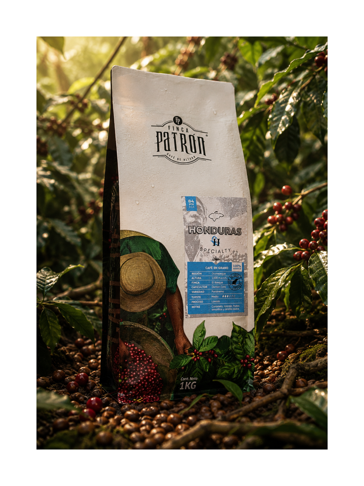 Café en Grano Finca Patrón Honduras - De Especialidad 84 ptos. S.C.A.